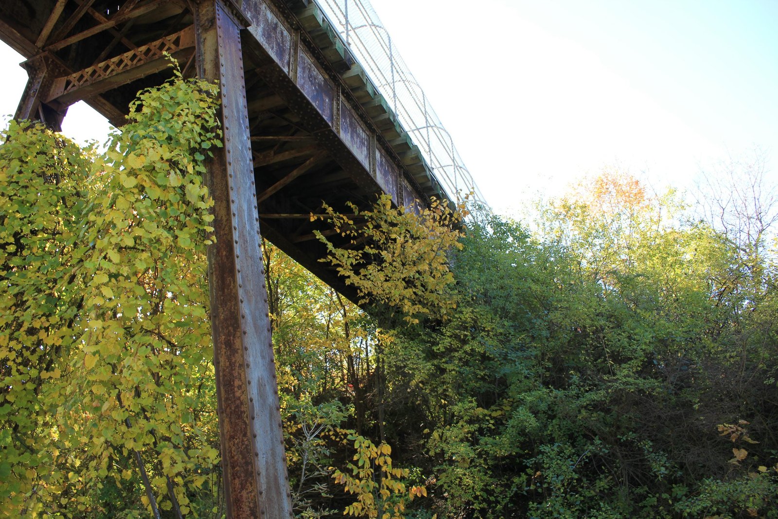 South span